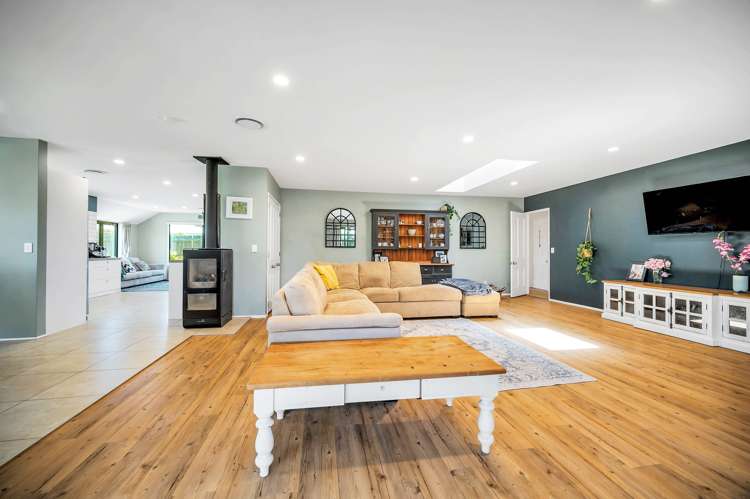 14 Tyree Drive Stoke_9