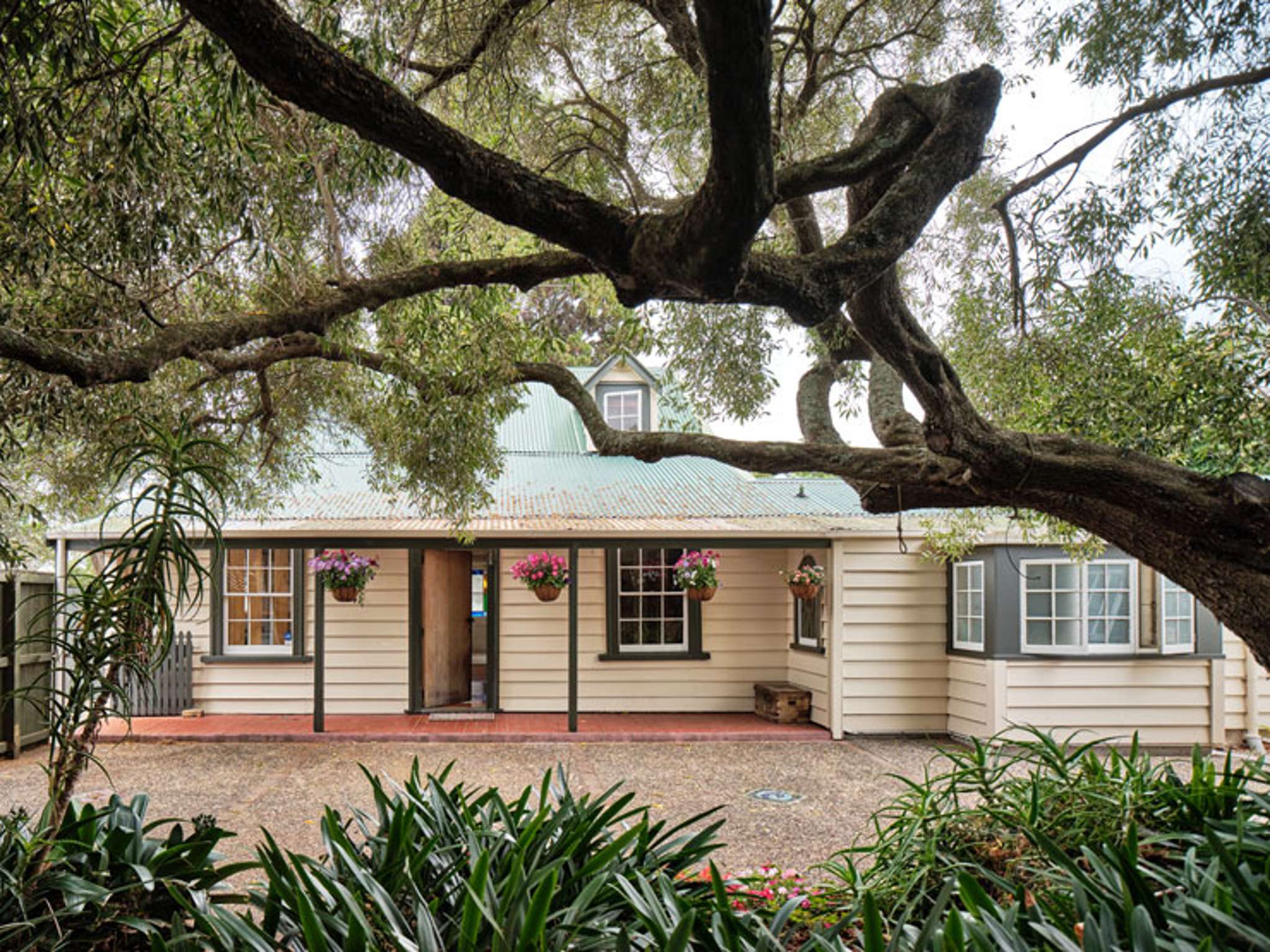 The stunning surprise inside 170-year-old Auckland cottage