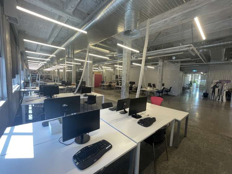 24 Balfour Road Parnell_10