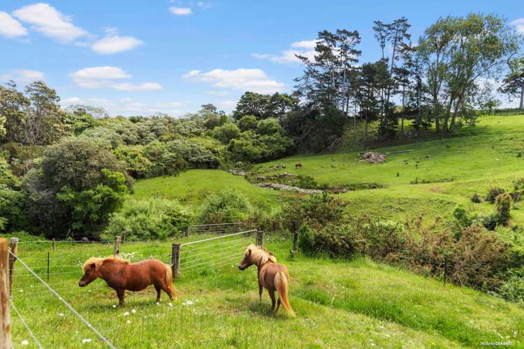 94 Geraghtys Road Tuakau_16