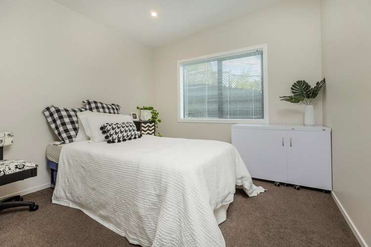 297a Hillsborough Road Hillsborough_13