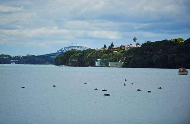 190 Garnet Road Westmere_4