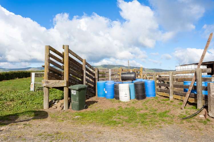 376 Starkey Road Morrinsville_11
