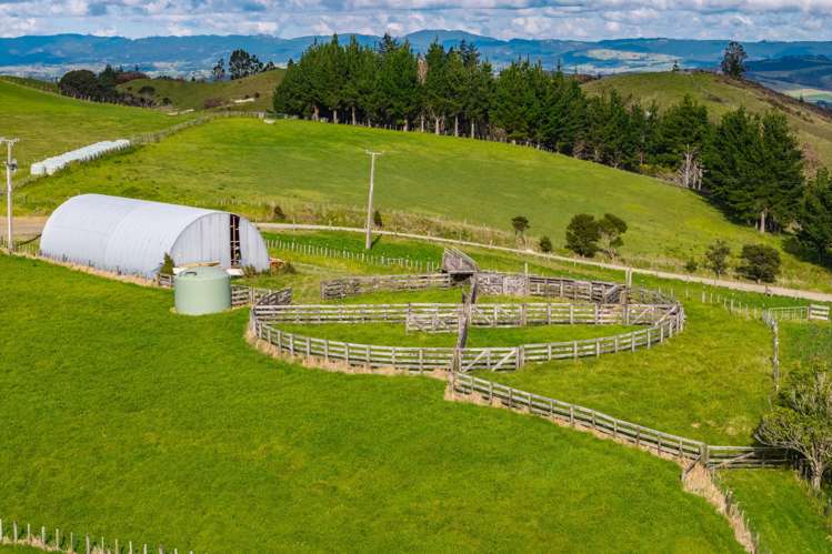 579 Ormiston Road Waipu_29