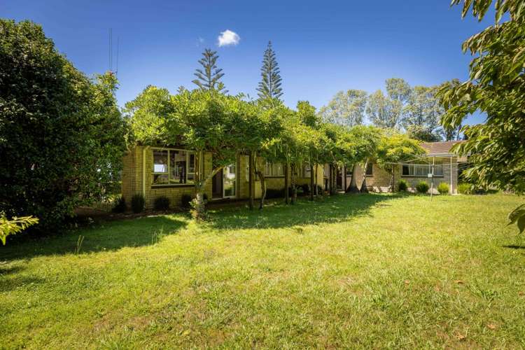 236 Willoughby Road Tahawai_9