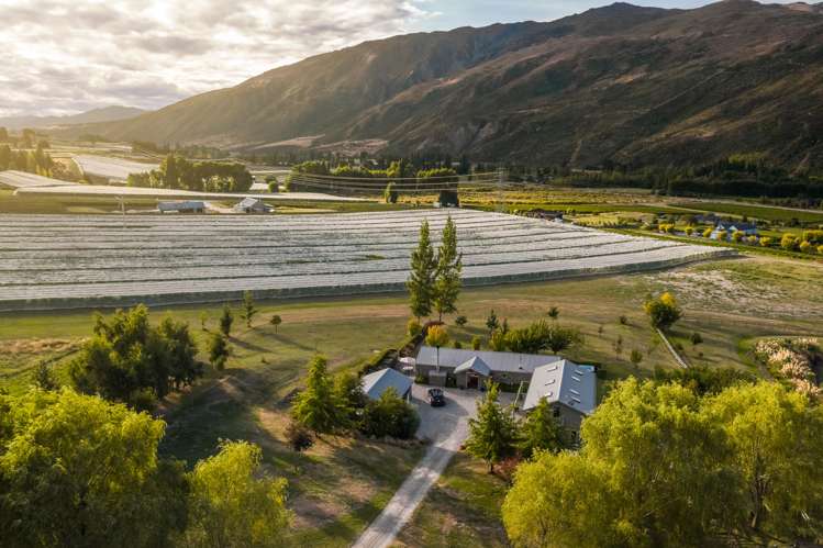 61 Gibbston Back Road Gibbston_19