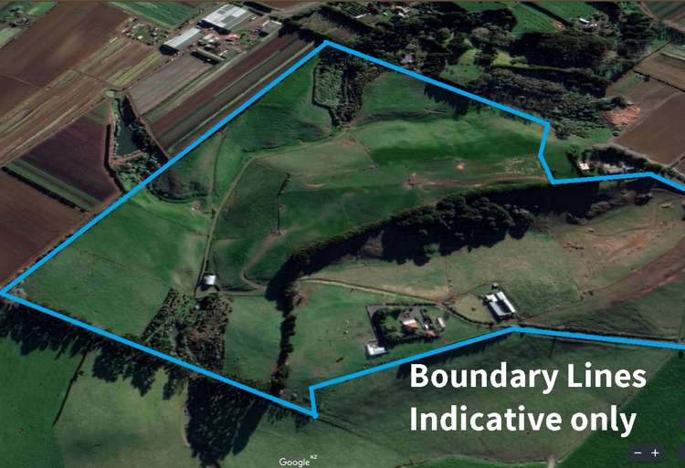 124 Rogers Road Puni_8