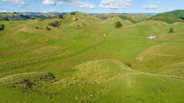 Kaitawa Road Pahiatua_3