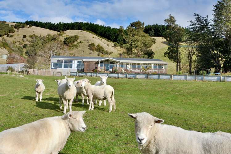 397 East Taieri-Allanton Road Allanton_21