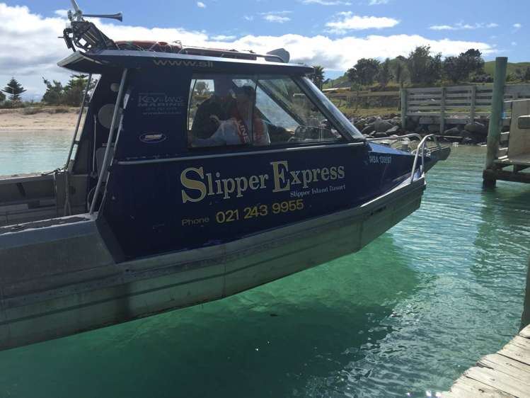 190 Pacific Ocean, Slipper Island (Whakahua) Thames_46