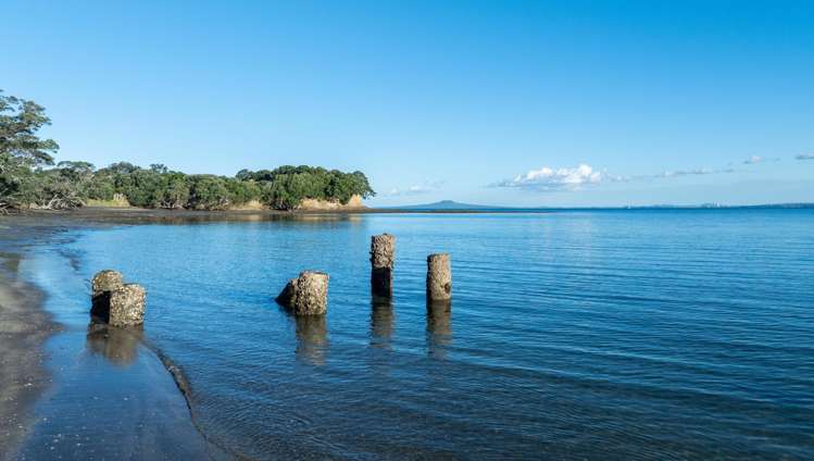3 Daisy Burrell Drive Gulf Harbour_70