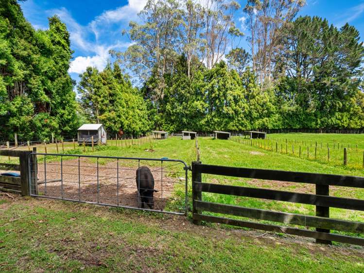 1080 Omanawa Road Omanawa Western Bay Of Plenty Houses for Sale