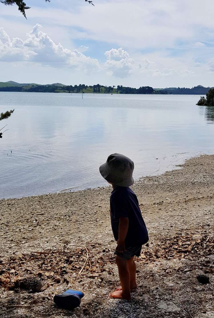 572a Pahi Road Paparoa_24