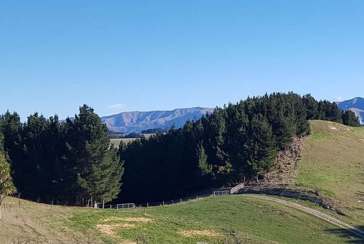 17 Esk Bank Road Otaio_16