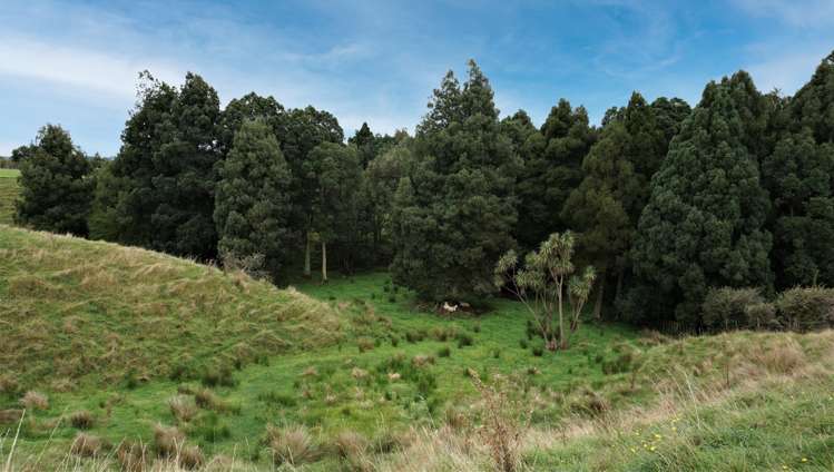 25 Ryland Park Levin_25