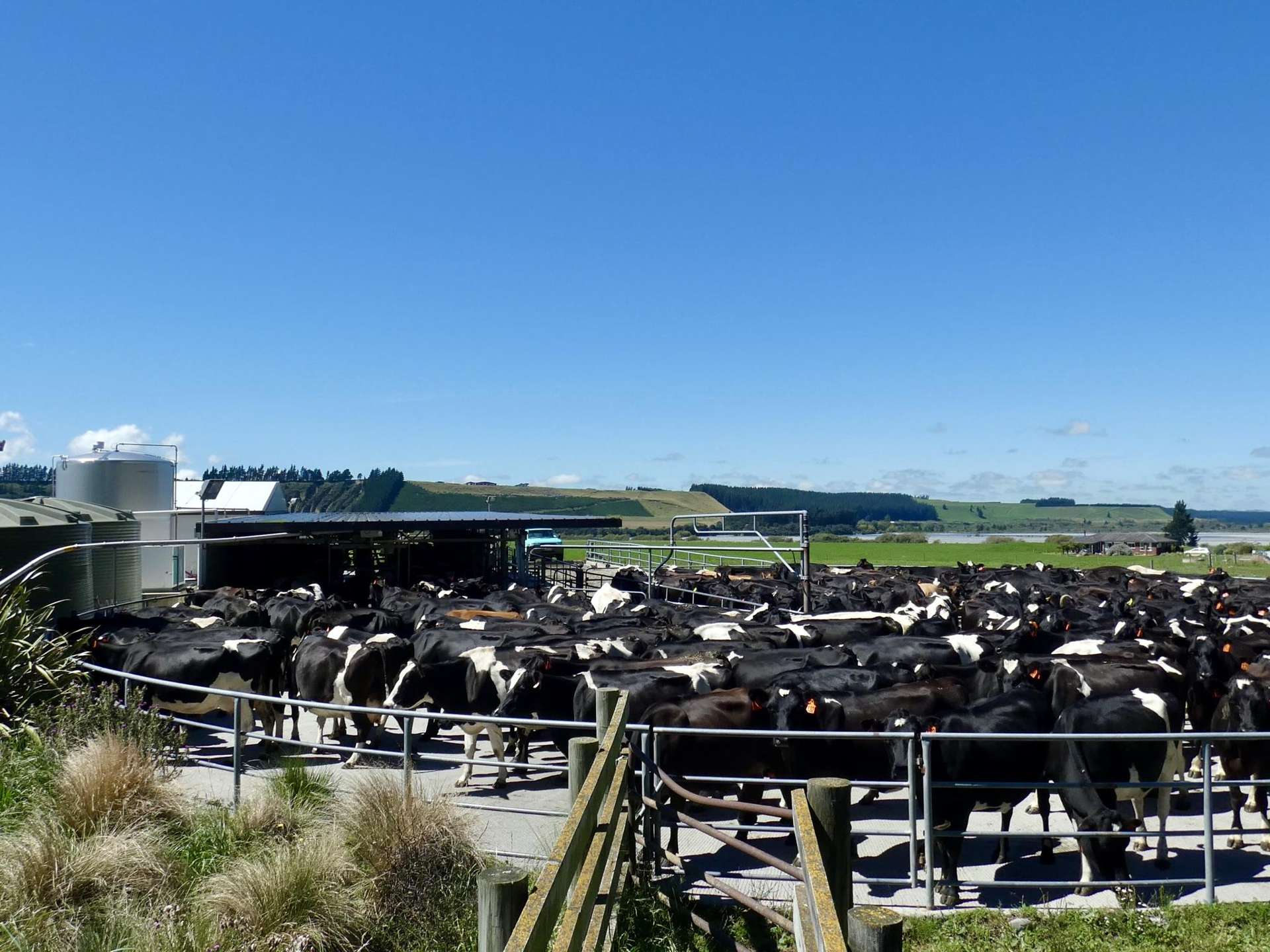 400 Keens Road Springfield_0