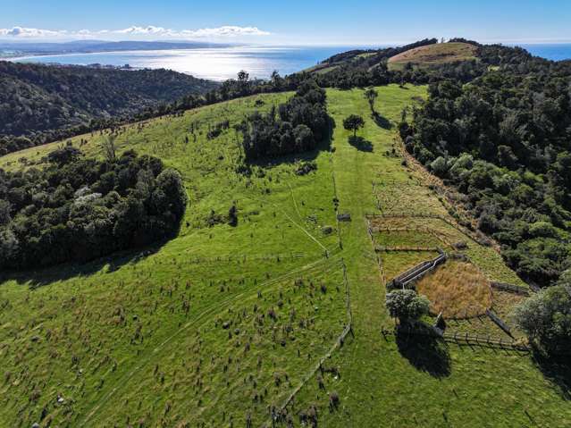 103 Randall Road Kaka Point_3