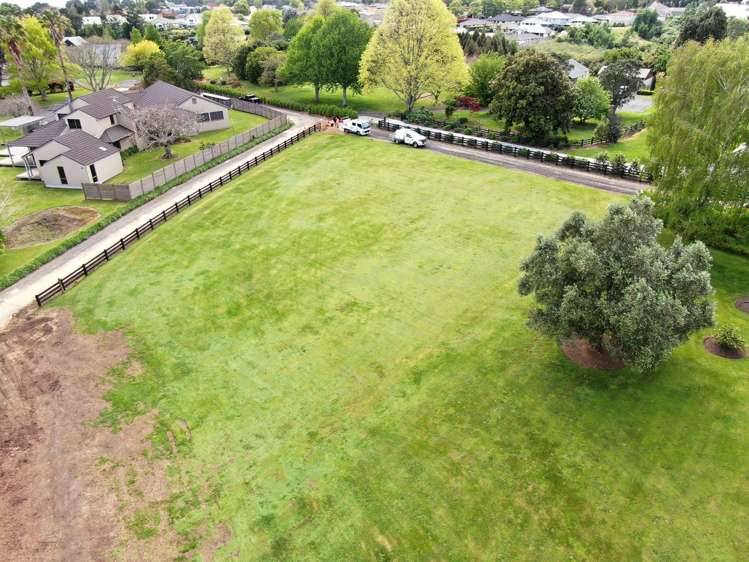 13 Astelia Drive Omokoroa_6