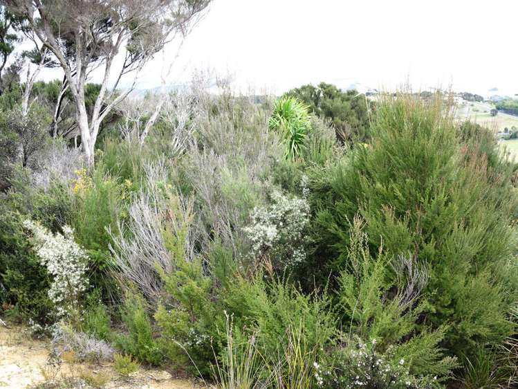 115 Stratford Drive Cable Bay_4