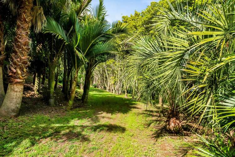 6388a South Road Pungarehu_14