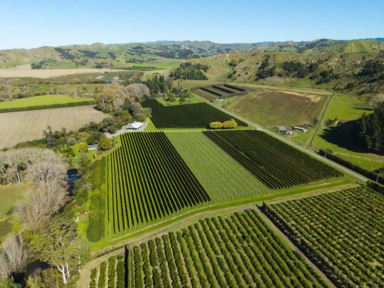 139 Taurau Valley Road Manutuke_6