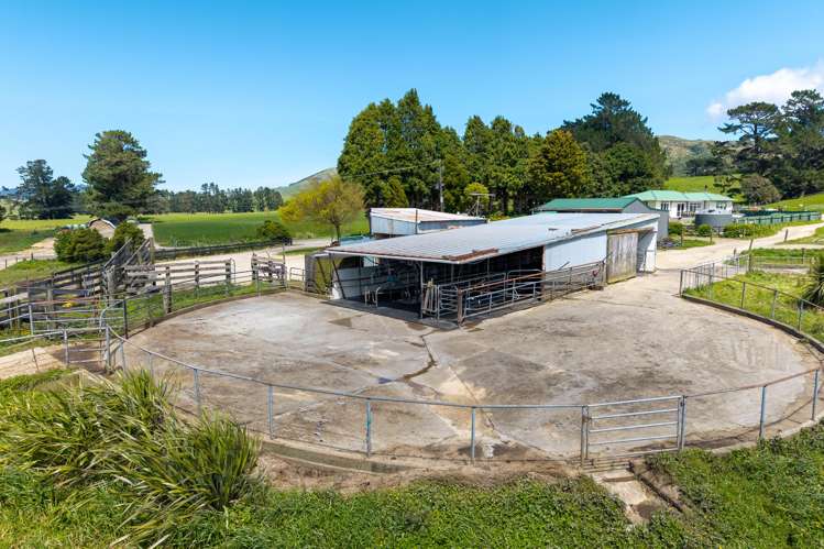 120 Priest Road Eketahuna_6