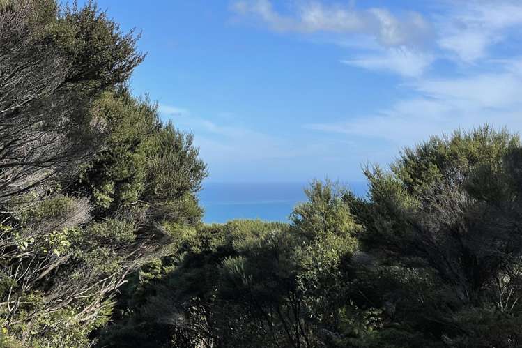 14 La Trobe Track Karekare_13