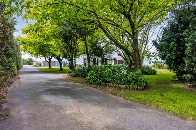 369 Patiki Road Pihama_1