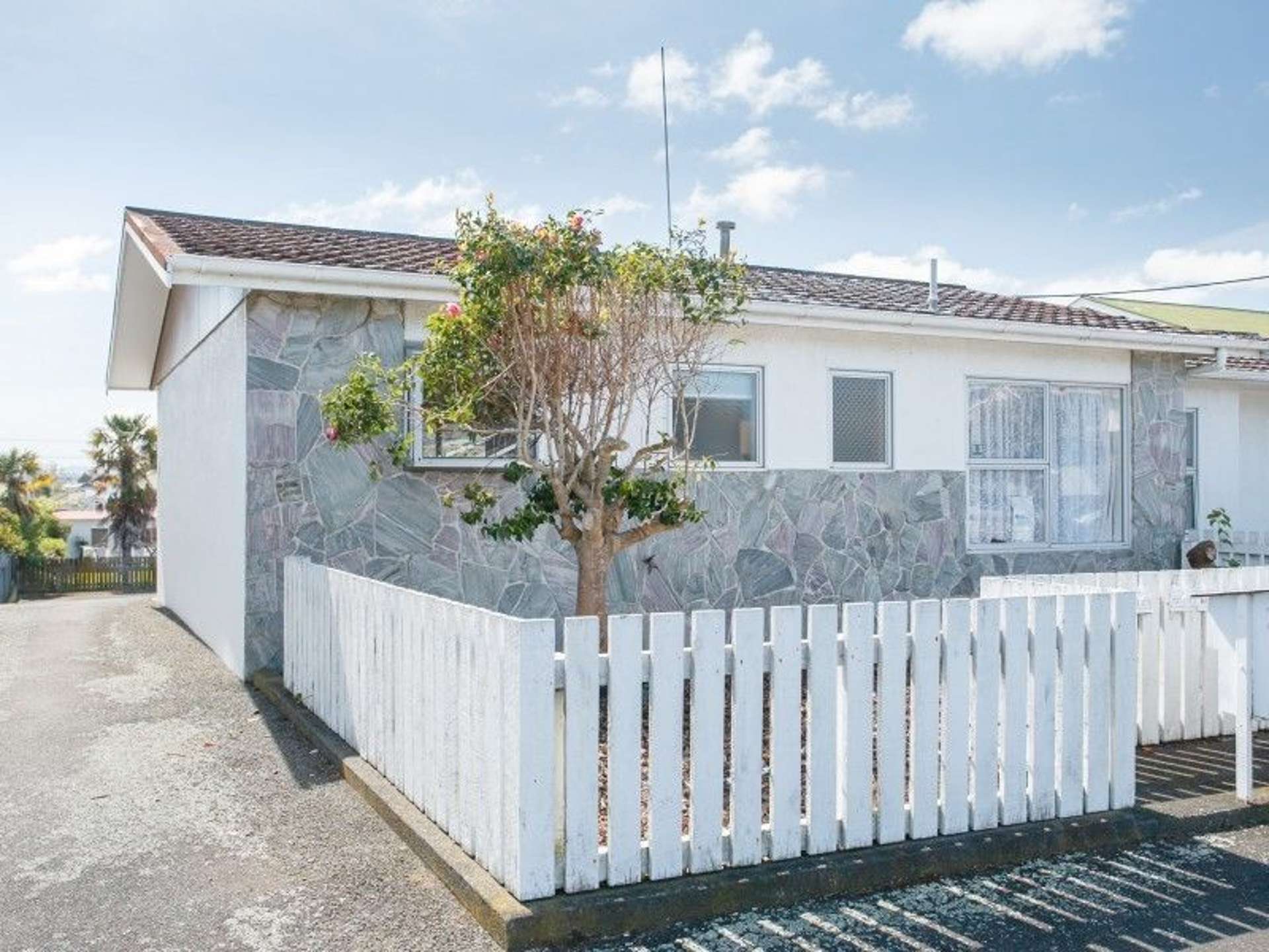 46b Campbell Street Wanganui Central_0