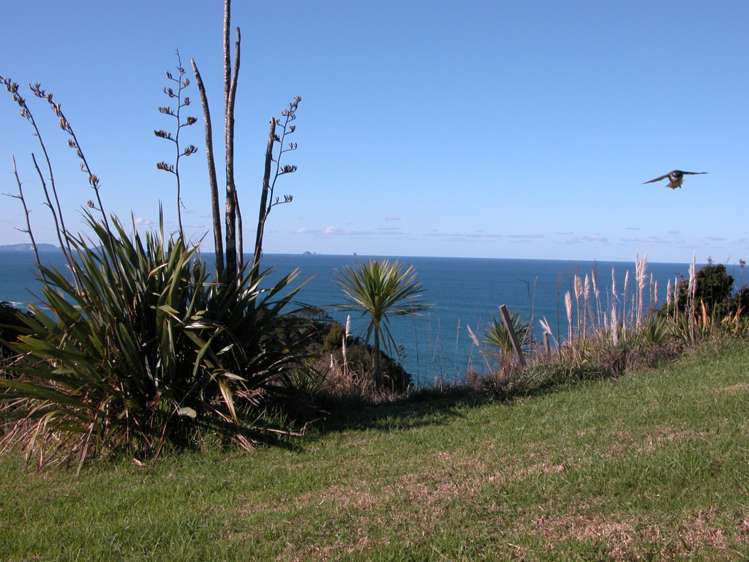 122 Lawson Drive Tutukaka_17