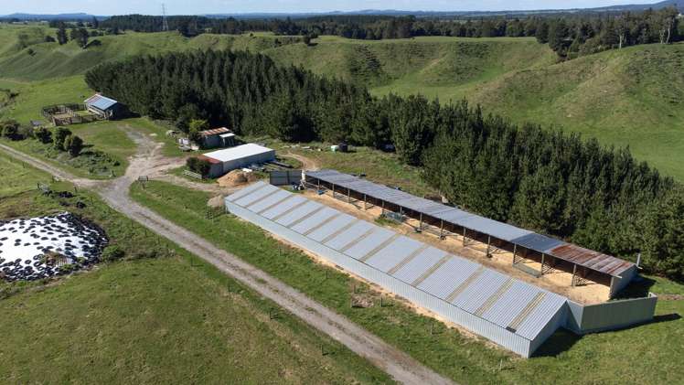 248 Lichenstein Road Okere Falls_7