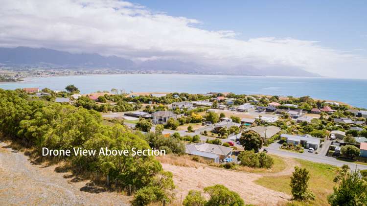 2 Lookers On Lane Kaikoura_5