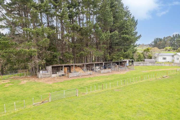 331 Takapau Ormondville Road Takapau_19