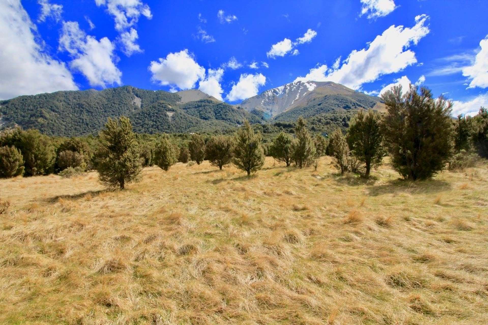 95 Tinline Terrace Lyford Hurunui Houses for Sale One Roof