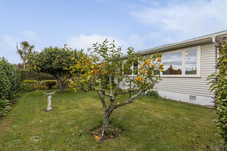 8 Elizabeth Street Levin_23