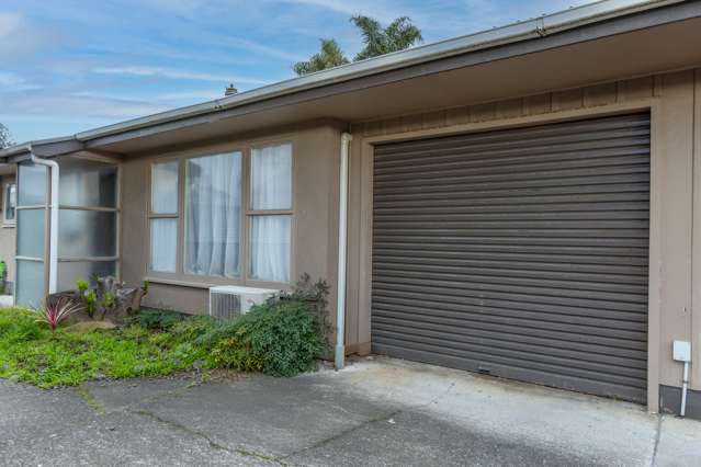 51a Mcgrath Street Napier South_2