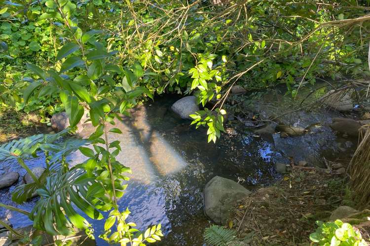 106 Bowen Place Thames_18