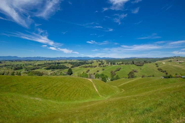 600 Neudorf Road Upper Moutere_40