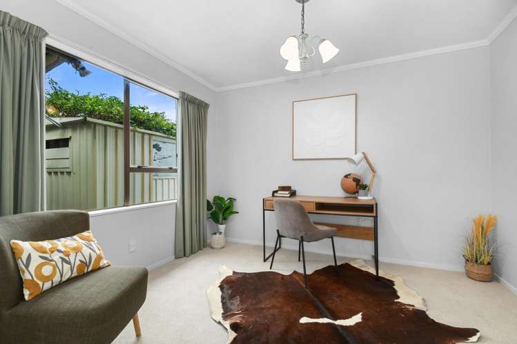 14A Bloomfield Terrace Hutt Central_12