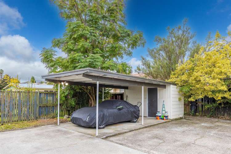 16 Caernarvon Street Dinsdale_19