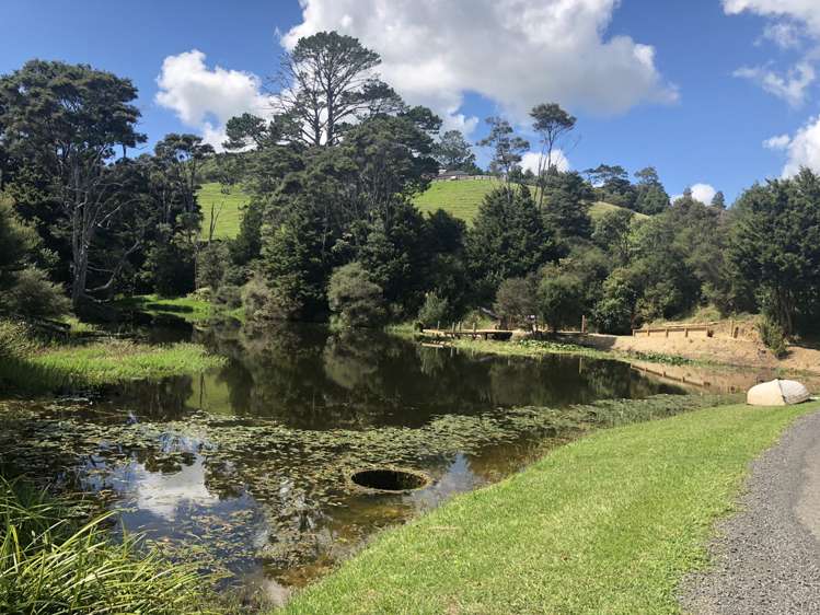 Weranui Road Wainui_22