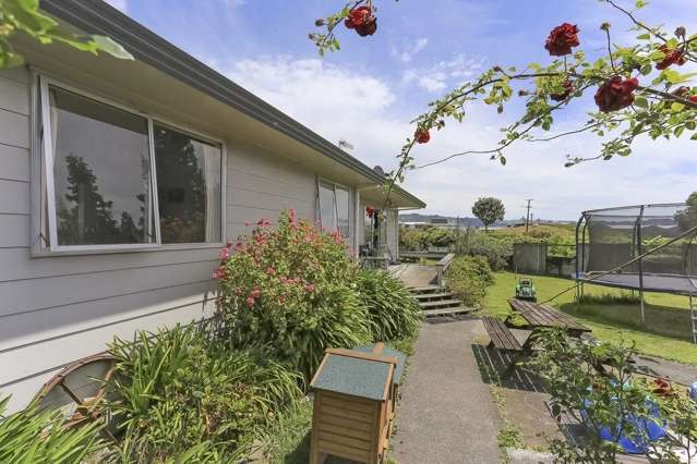 14 Conifer Place Te Puke_3