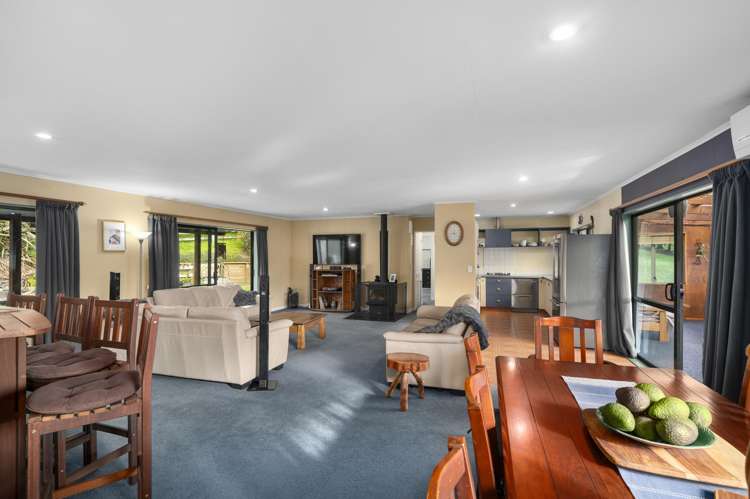 143 Youngson Road Whakamarama_6