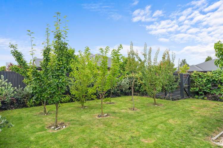 14 Josephine Crescent Aidanfield_23