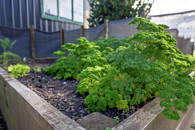 40 Waiotahe Drifts Boulevard Opotiki_27