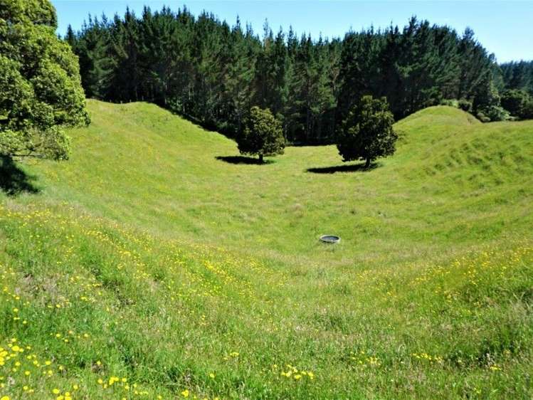 1788 Manawahe Road Manawahe_11