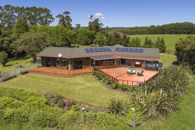 109d Plummer Road Whakamarama_1