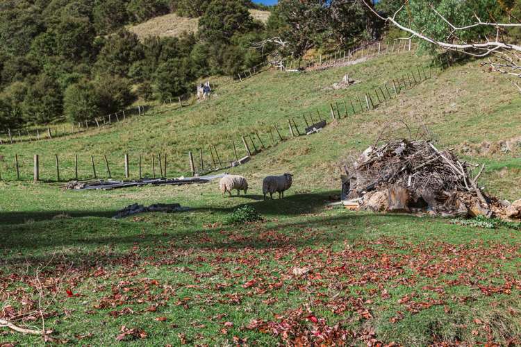 164 Hill Road Eskdale_8