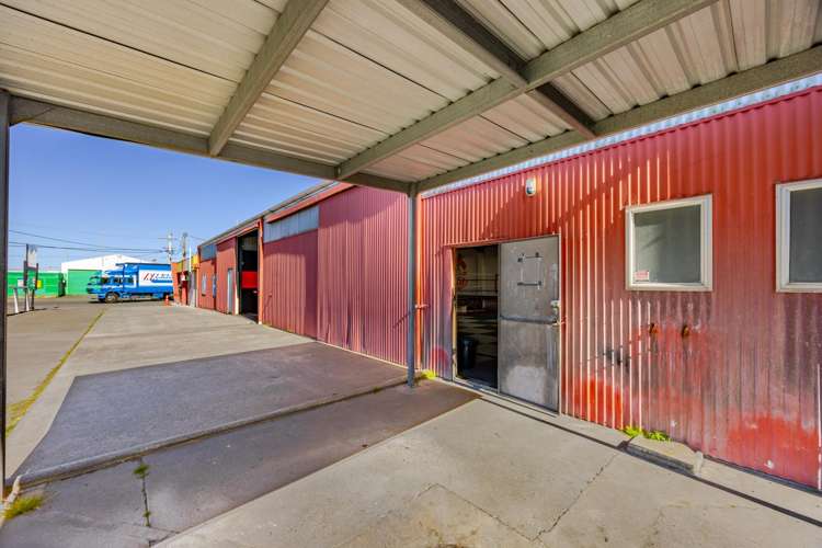 41 Wakefield Street Onekawa_6