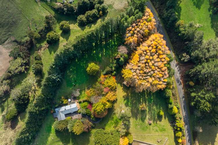 175 Forest Road Oruanui_38